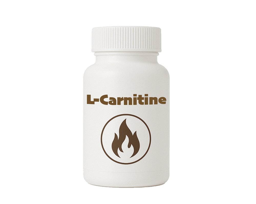 L-Carnitine kokemuksia